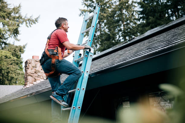 Emergency Roof Repair in Edgemere, MD